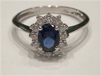 Anello Gazzola Donna in Oro bianco Zircone ANOBKATEBLU2ZM14